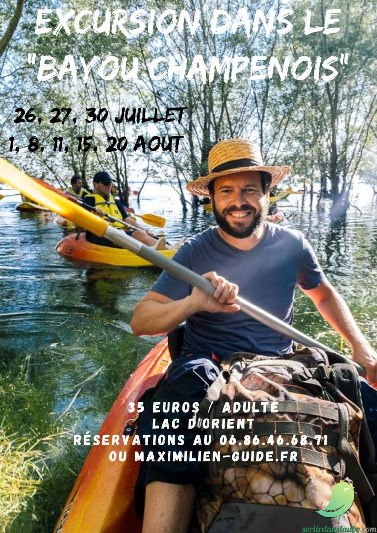 Arrière-plan