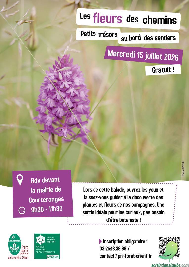 Arrière-plan