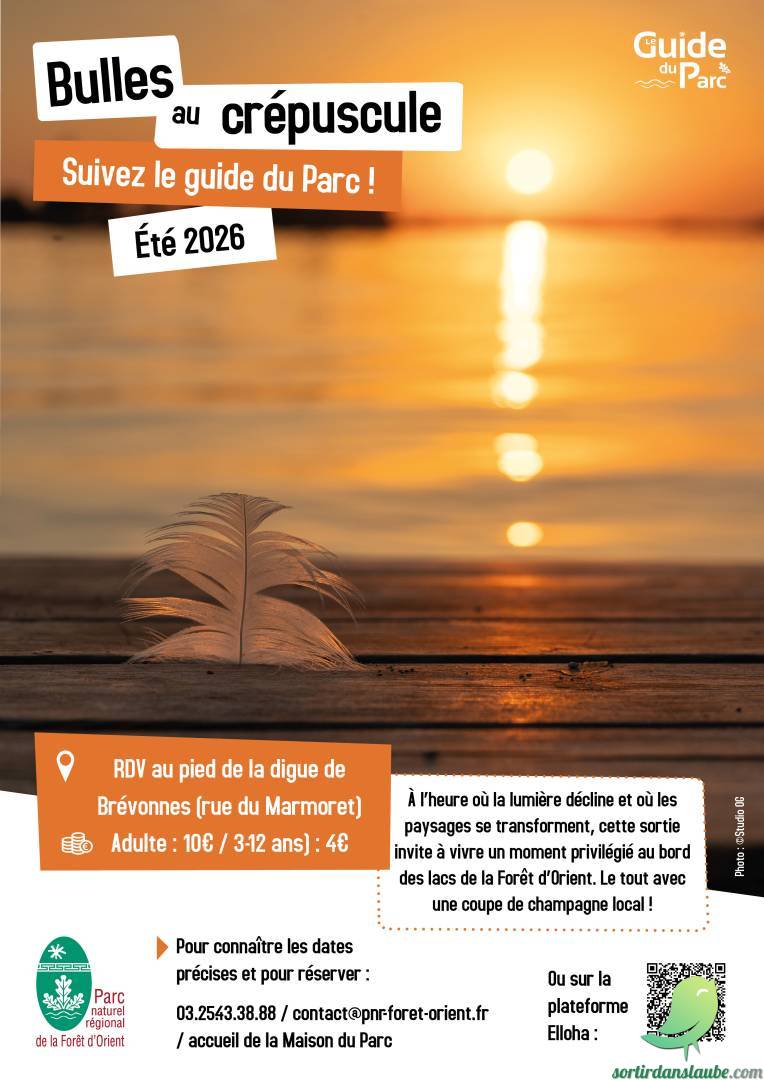 Arrière-plan