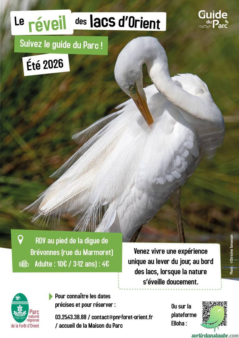 Arrière-plan