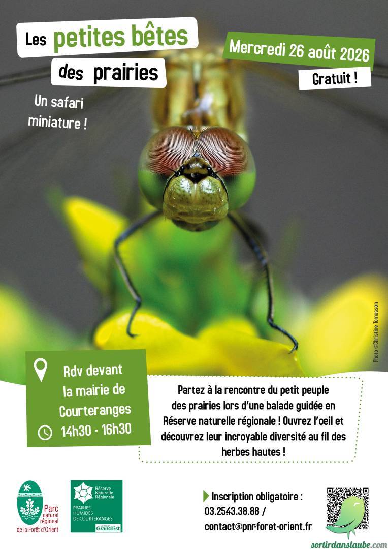 Arrière-plan