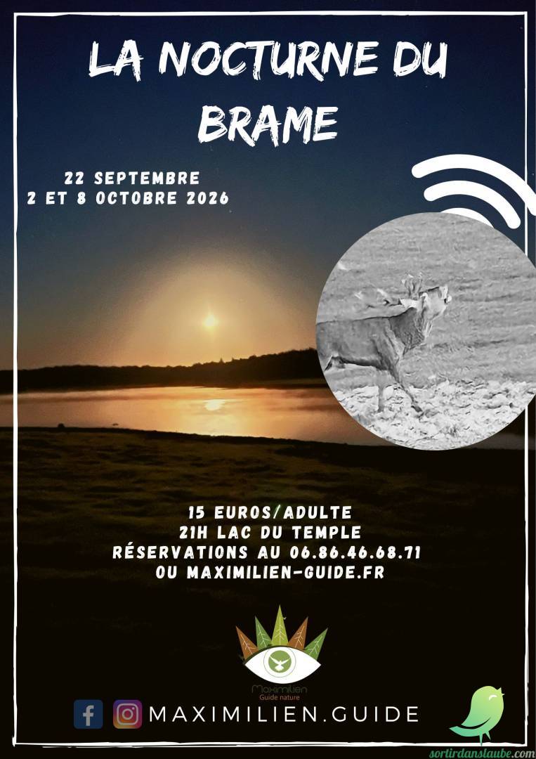 Arrière-plan
