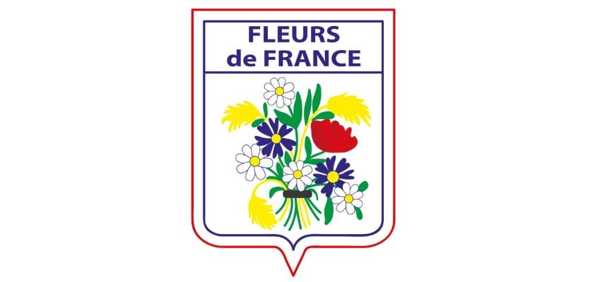 Arrière-plan